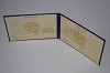 Стоимость диплома техникума УзбекАССР 1975-1991 г. в Углегорске (Сахалинская Область)