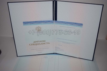 Диплом о Высшем Образовании 2019г СпецБланк в Южно-Сахалинске