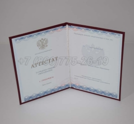 Аттестат За 11 Класс 2023г Золото ГОЗНАК в Южно-Сахалинске