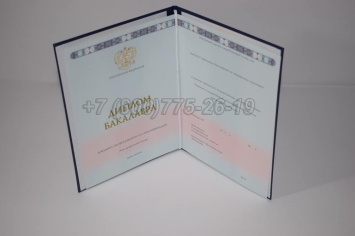 Диплом Бакалавра 2025г ГОЗНАК в Южно-Сахалинске