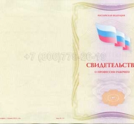 Свидетельство о Профессии Рабочего "Автоклавщик литья под давлением" в Южно-Сахалинске