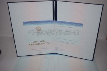 Диплом о Высшем Образовании 2023г СпецБланк в Южно-Сахалинске