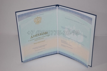 Диплом Техникума 2018г СпецБланк в Южно-Сахалинске