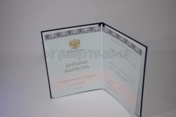 Диплом Магистра 2025г ООО "Знак" в Южно-Сахалинске