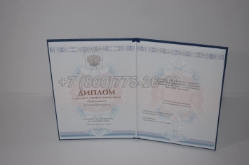 Диплом Техникума 2025г ГОЗНАК в Южно-Сахалинске