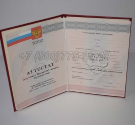 Аттестат За 11 Класс 2010г Серебро в Южно-Сахалинске